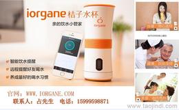 個人護理電器市場概覽 其他個人護理電器的價格、廠家與批發渠道